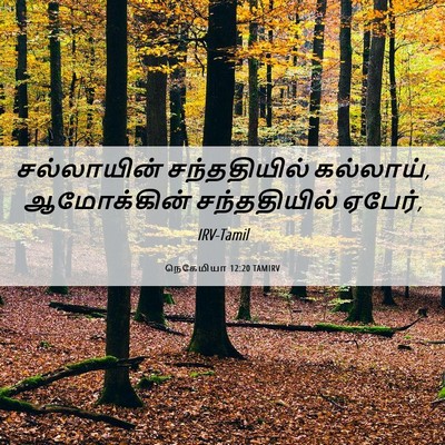 Picture 06 - நெகேமியா 12:20 TAMIRV - சல்லாயின் - Bible Verse Picture