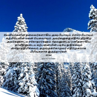 Picture 06 - நெகேமியா 12:24 TAMIRV - லேவியர்களின் - Bible Verse Picture