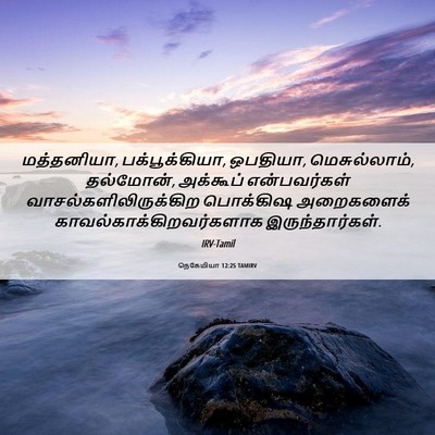 Picture 06 - நெகேமியா 12:25 TAMIRV - மத்தனியா, - Bible Verse Picture