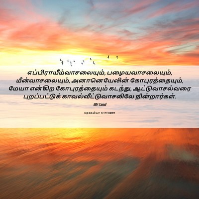 Picture 06 - நெகேமியா 12:39 TAMIRV -  - Bible Verse Picture