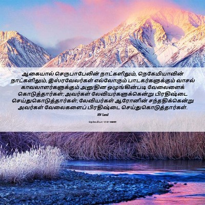 Picture 06 - நெகேமியா 12:47 TAMIRV - ஆகையால் - Bible Verse Picture