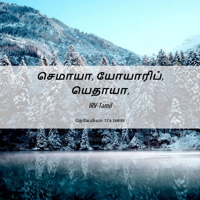 Picture 06 - நெகேமியா 12:6 TAMIRV - செமாயா, யோயாரிப், - Bible Verse Picture