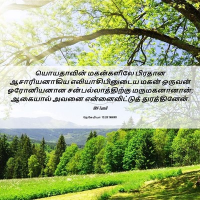 Picture 06 - நெகேமியா 13:28 TAMIRV - யொயதாவின் - Bible Verse Picture