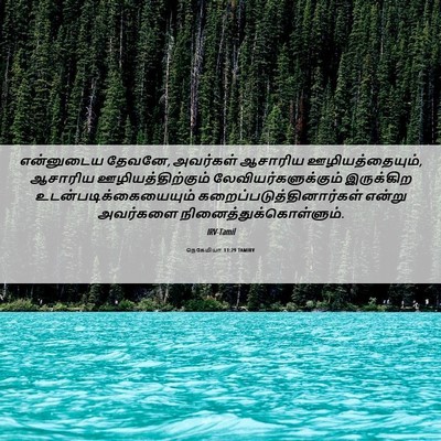 Picture 06 - நெகேமியா 13:29 TAMIRV - என்னுடைய தேவனே, - Bible Verse Picture