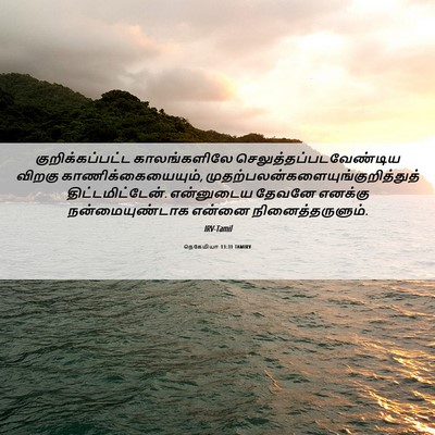 Picture 06 - நெகேமியா 13:31 TAMIRV - குறிக்கப்பட்ட - Bible Verse Picture