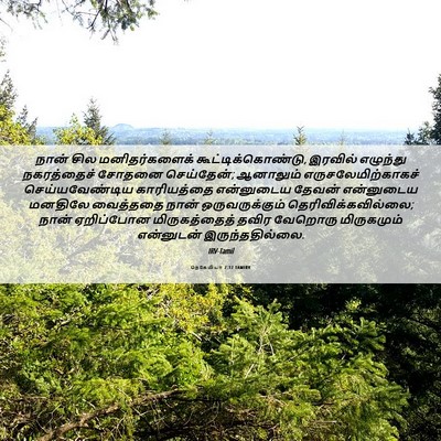 Picture 06 - நெகேமியா 2:12 TAMIRV - நான் சில - Bible Verse Picture