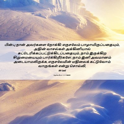 Picture 06 - நெகேமியா 2:17 TAMIRV - பின்பு நான் - Bible Verse Picture