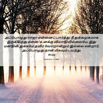 Picture 06 - நெகேமியா 2:2 TAMIRV - அப்பொழுது ராஜா - Bible Verse Picture