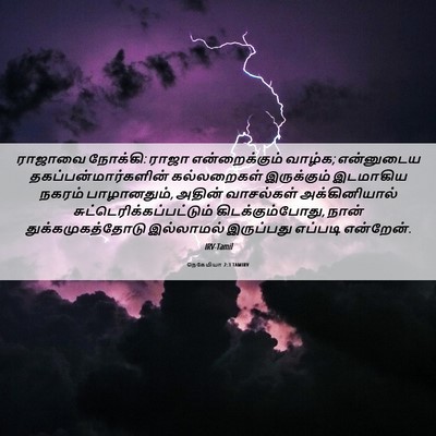 Picture 06 - நெகேமியா 2:3 TAMIRV - ராஜாவை நோக்கி: - Bible Verse Picture