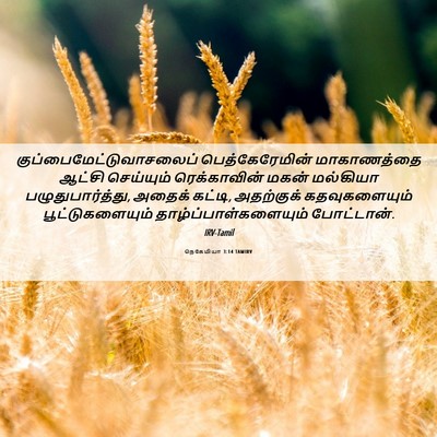 Picture 06 - நெகேமியா 3:14 TAMIRV -  - Bible Verse Picture