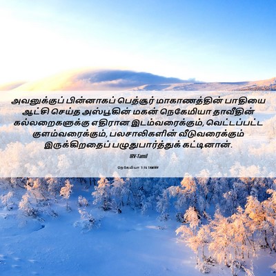 Picture 06 - நெகேமியா 3:16 TAMIRV - அவனுக்குப் - Bible Verse Picture