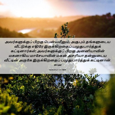 Picture 06 - நெகேமியா 3:23 TAMIRV - அவர்களுக்குப் - Bible Verse Picture