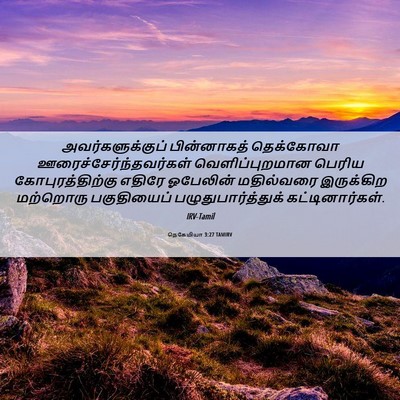 Picture 06 - நெகேமியா 3:27 TAMIRV - அவர்களுக்குப் - Bible Verse Picture