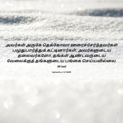 Picture 06 - நெகேமியா 3:5 TAMIRV - அவர்கள் அருகே - Bible Verse Picture