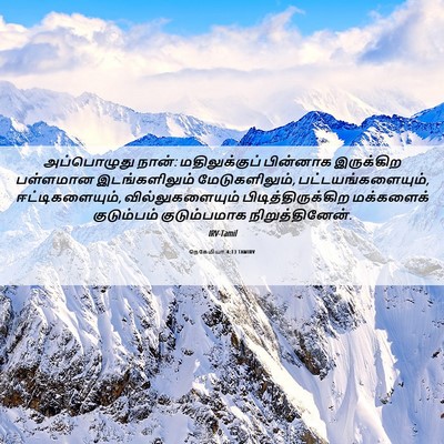 Picture 06 - நெகேமியா 4:13 TAMIRV - அப்பொழுது நான்: - Bible Verse Picture