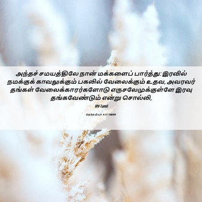 Picture 06 - நெகேமியா 4:22 TAMIRV - அந்தச் சமயத்திலே - Bible Verse Picture