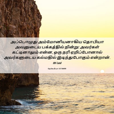 Picture 06 - நெகேமியா 4:3 TAMIRV - அப்பொழுது - Bible Verse Picture