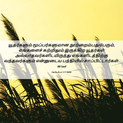 Picture 06 - நெகேமியா 5:17 TAMIRV - யூதர்களும் - Bible Verse Picture