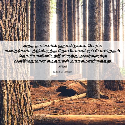 Picture 06 - நெகேமியா 6:17 TAMIRV - அந்த நாட்களில் - Bible Verse Picture