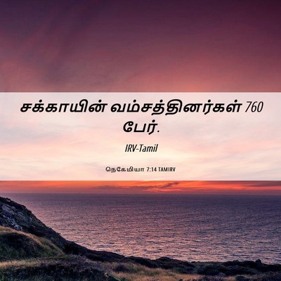 Picture 06 - நெகேமியா 7:14 TAMIRV - சக்காயின் - Bible Verse Picture