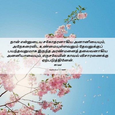 Picture 06 - நெகேமியா 7:2 TAMIRV - நான் என்னுடைய - Bible Verse Picture