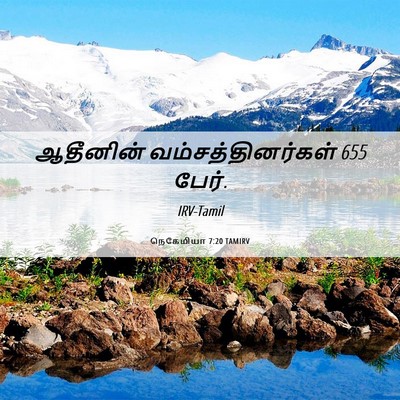 Picture 06 - நெகேமியா 7:20 TAMIRV - ஆதீனின் - Bible Verse Picture