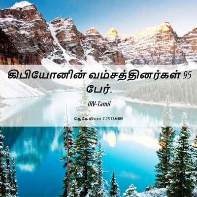 Picture 06 - நெகேமியா 7:25 TAMIRV - கிபியோனின் - Bible Verse Picture