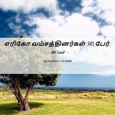 Picture 06 - நெகேமியா 7:36 TAMIRV - எரிகோ - Bible Verse Picture