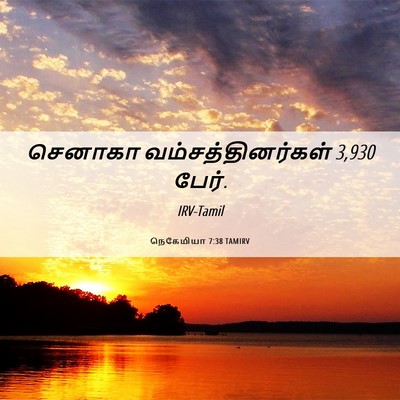 Picture 06 - நெகேமியா 7:38 TAMIRV - செனாகா - Bible Verse Picture
