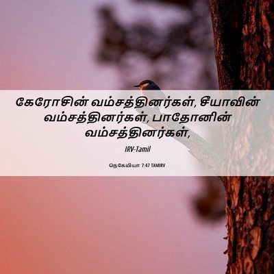 Picture 06 - நெகேமியா 7:47 TAMIRV - கேரோசின் - Bible Verse Picture