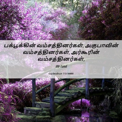 Picture 06 - நெகேமியா 7:53 TAMIRV - பக்பூக்கின் - Bible Verse Picture
