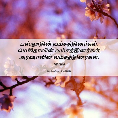 Picture 06 - நெகேமியா 7:54 TAMIRV - பஸ்லூதின் - Bible Verse Picture
