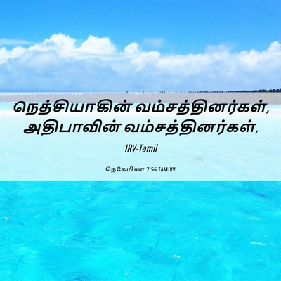 Picture 06 - நெகேமியா 7:56 TAMIRV - நெத்சியாகின் - Bible Verse Picture