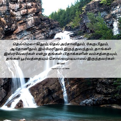 Picture 06 - நெகேமியா 7:61 TAMIRV - தெல்மெலாகிலும், - Bible Verse Picture