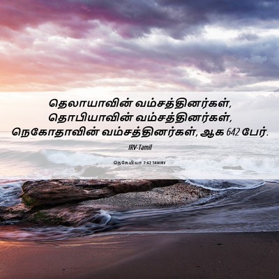 Picture 06 - நெகேமியா 7:62 TAMIRV - தெலாயாவின் - Bible Verse Picture