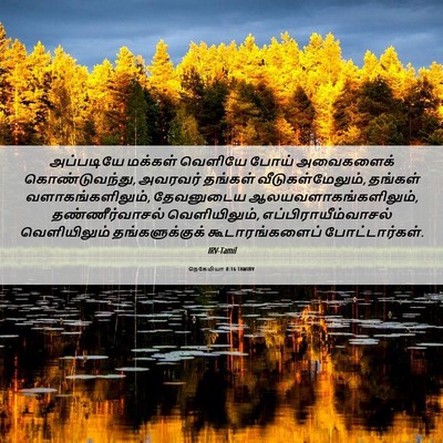 Picture 06 - நெகேமியா 8:16 TAMIRV - அப்படியே மக்கள் - Bible Verse Picture