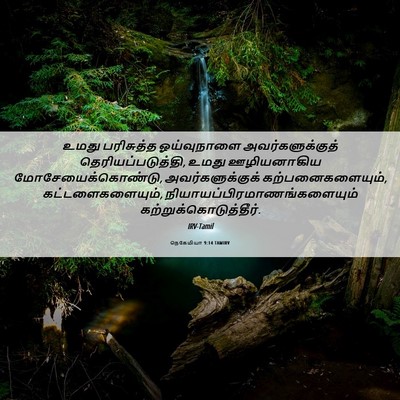 Picture 06 - நெகேமியா 9:14 TAMIRV - உமது பரிசுத்த - Bible Verse Picture