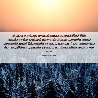 Picture 06 - நெகேமியா 9:21 TAMIRV - இப்படி நாற்பது - Bible Verse Picture