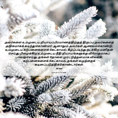 Picture 06 - நெகேமியா 9:29 TAMIRV - அவர்களை உம்முடைய - Bible Verse Picture