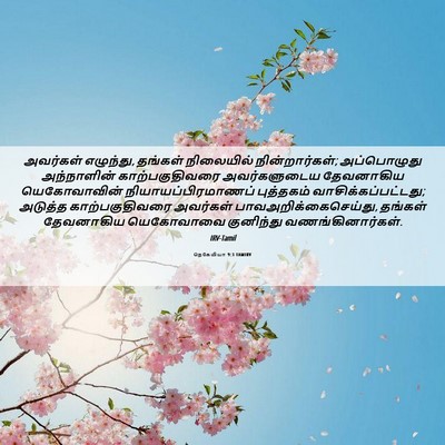 Picture 06 - நெகேமியா 9:3 TAMIRV - அவர்கள் எழுந்து, - Bible Verse Picture