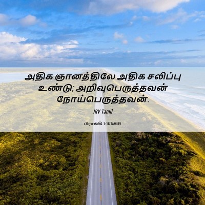 Picture 06 - பிரசங்கி 1:18 TAMIRV - அதிக ஞானத்திலே - Bible Verse Picture