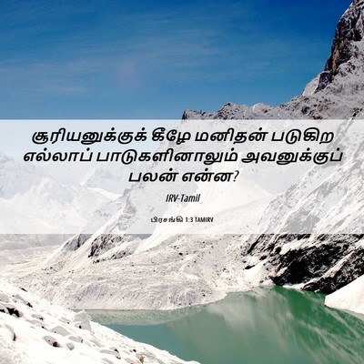 Picture 06 - பிரசங்கி 1:3 TAMIRV - சூரியனுக்குக் - Bible Verse Picture