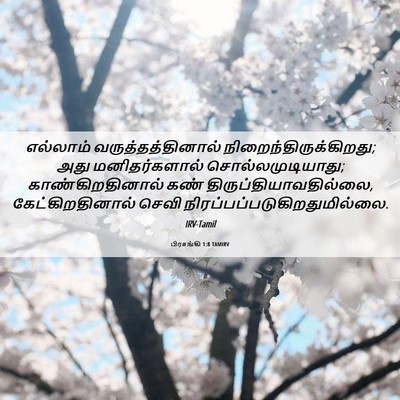 Picture 06 - பிரசங்கி 1:8 TAMIRV - எல்லாம் - Bible Verse Picture