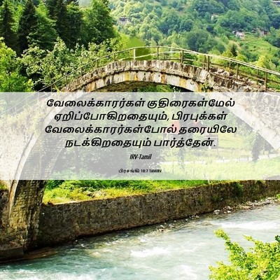 Picture 06 - பிரசங்கி 10:7 TAMIRV - வேலைக்காரர்கள் - Bible Verse Picture