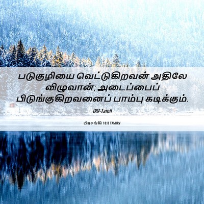 Picture 06 - பிரசங்கி 10:8 TAMIRV - படுகுழியை - Bible Verse Picture
