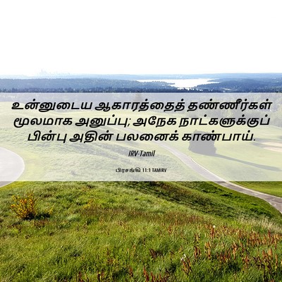 Picture 06 - பிரசங்கி 11:1 TAMIRV - உன்னுடைய - Bible Verse Picture