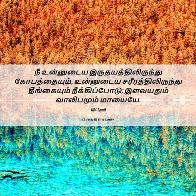 Picture 06 - பிரசங்கி 11:10 TAMIRV - நீ உன்னுடைய - Bible Verse Picture