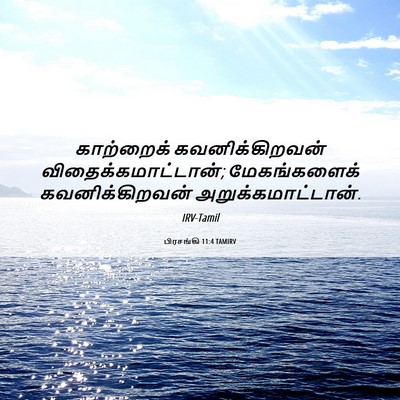 Picture 06 - பிரசங்கி 11:4 TAMIRV - காற்றைக் - Bible Verse Picture