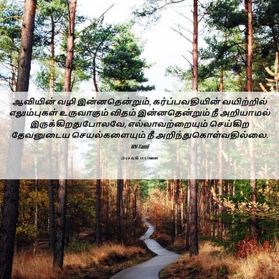 Picture 06 - பிரசங்கி 11:5 TAMIRV - ஆவியின் வழி - Bible Verse Picture