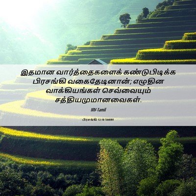 Picture 06 - பிரசங்கி 12:10 TAMIRV - இதமான - Bible Verse Picture